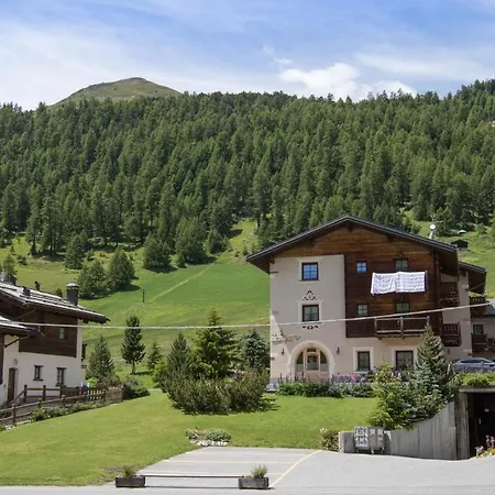 Soldanella - * Livigno