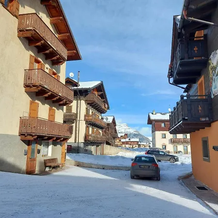 Soldanella -