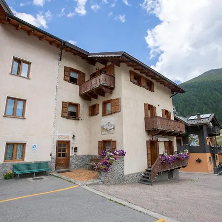 Soldanella - * Livigno
